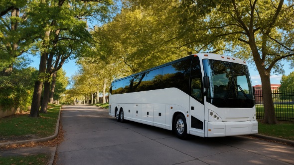 mountain view wedding transportation